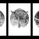 Star Wars trilogy variant editions by Gabz